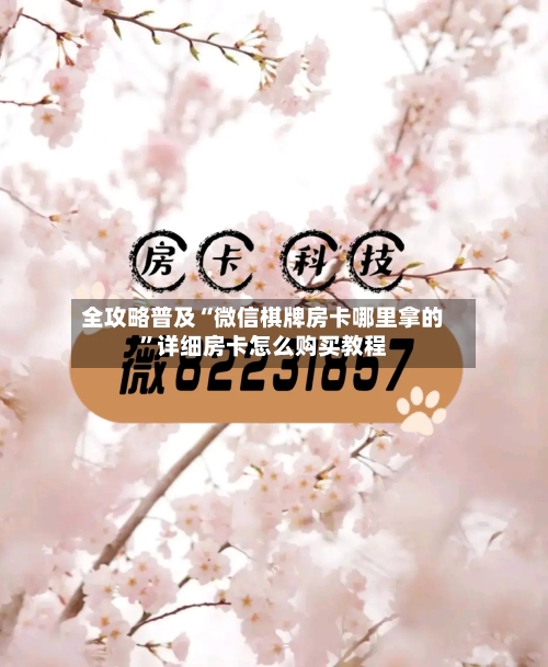 全攻略普及“微信棋牌房卡哪里拿的”详细房卡怎么购买教程-第2张图片