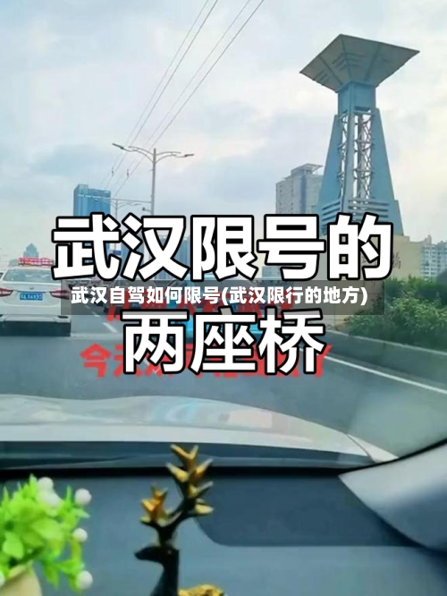 武汉自驾如何限号(武汉限行的地方)-第2张图片