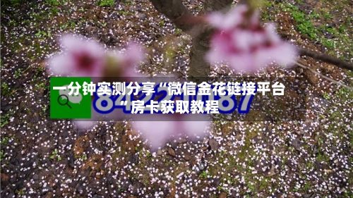 一分钟实测分享“微信金花链接平台”房卡获取教程