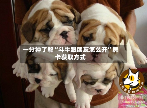 一分钟了解“斗牛跟朋友怎么开	”房卡获取方式-第2张图片