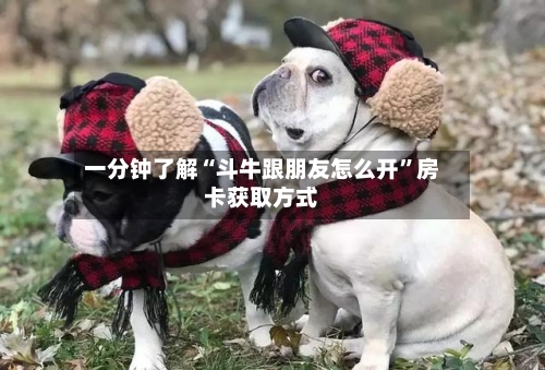 一分钟了解“斗牛跟朋友怎么开”房卡获取方式