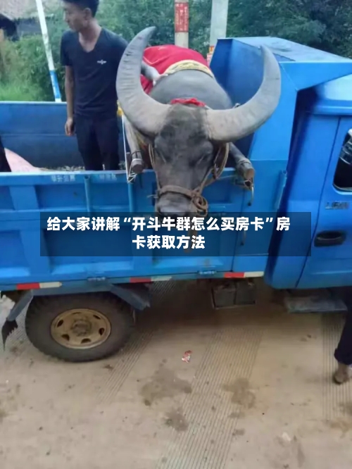 给大家讲解“开斗牛群怎么买房卡”房卡获取方法-第2张图片