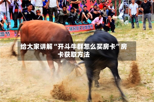 给大家讲解“开斗牛群怎么买房卡”房卡获取方法-第3张图片