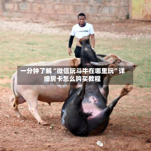 一分钟了解“微信玩斗牛在哪里玩”详细房卡怎么购买教程