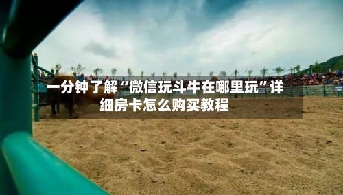 一分钟了解“微信玩斗牛在哪里玩”详细房卡怎么购买教程-第2张图片
