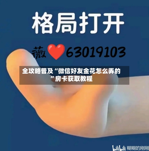 全攻略普及“微信好友金花怎么弄的	”房卡获取教程-第2张图片