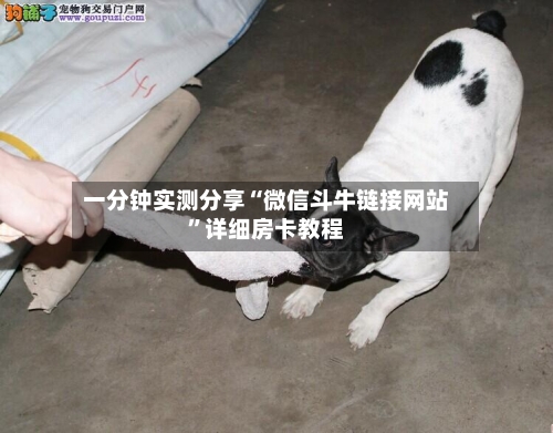 一分钟实测分享“微信斗牛链接网站”详细房卡教程