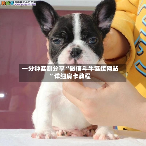 一分钟实测分享“微信斗牛链接网站”详细房卡教程-第2张图片