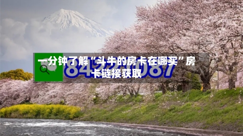 一分钟了解“斗牛的房卡在哪买”房卡链接获取-第2张图片