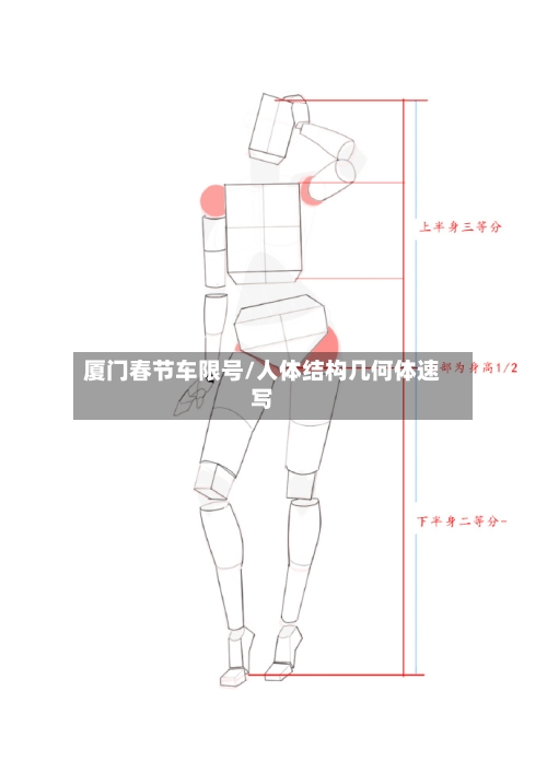 厦门春节车限号/人体结构几何体速写-第3张图片