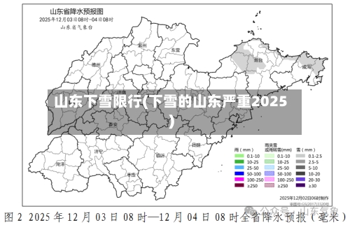 山东下雪限行(下雪的山东严重2025)