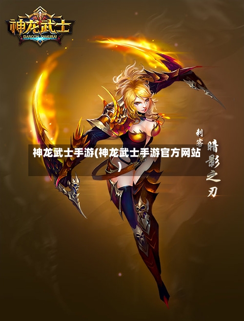 神龙武士手游(神龙武士手游官方网站)