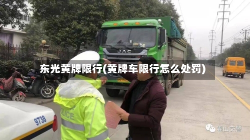 东光黄牌限行(黄牌车限行怎么处罚)-第2张图片