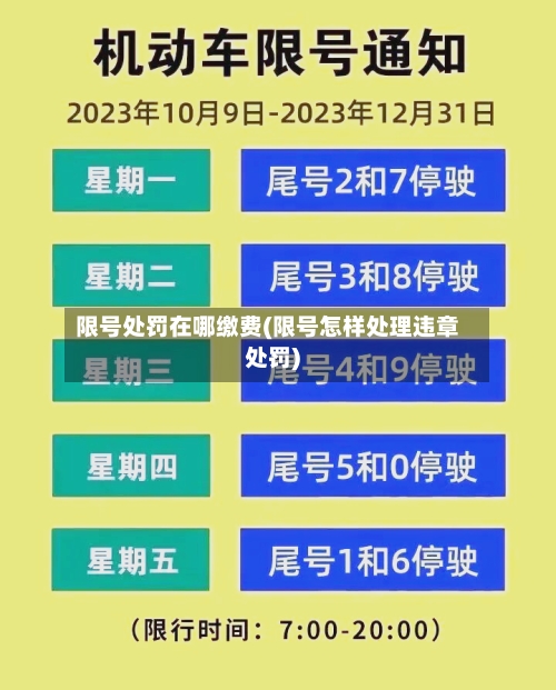 限号处罚在哪缴费(限号怎样处理违章处罚)-第2张图片