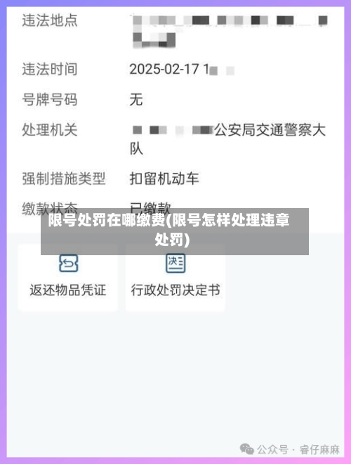 限号处罚在哪缴费(限号怎样处理违章处罚)