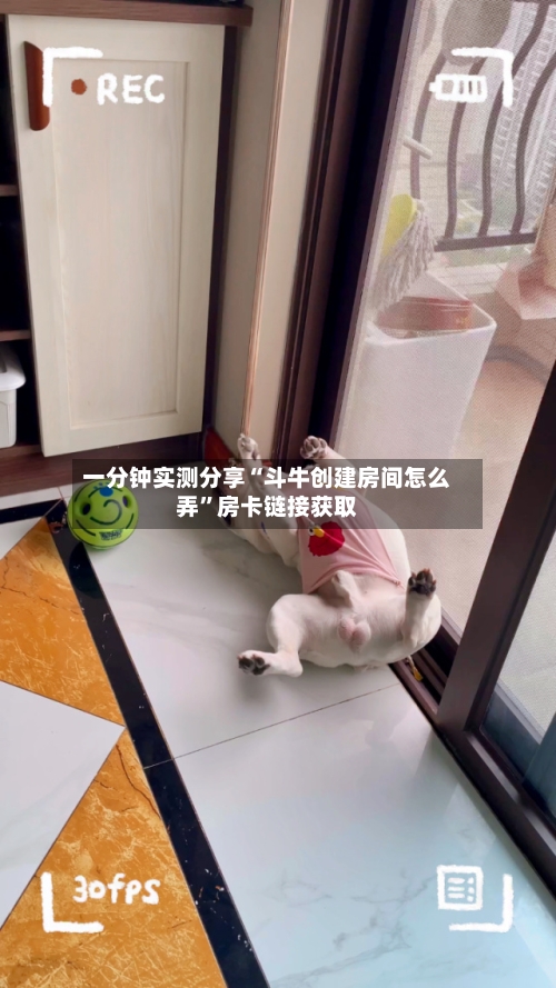 一分钟实测分享“斗牛创建房间怎么弄”房卡链接获取