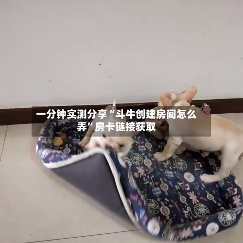 一分钟实测分享“斗牛创建房间怎么弄”房卡链接获取-第2张图片