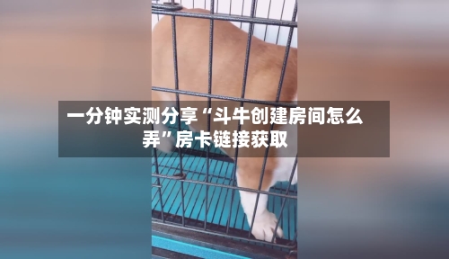 一分钟实测分享“斗牛创建房间怎么弄	”房卡链接获取-第3张图片