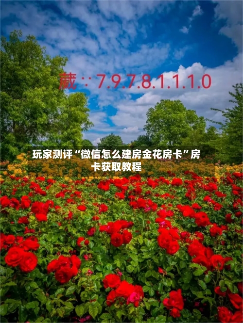 玩家测评“微信怎么建房金花房卡”房卡获取教程