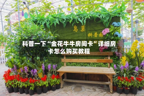 科普一下“金花牛牛房间卡”详细房卡怎么购买教程-第3张图片