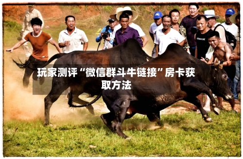 玩家测评“微信群斗牛链接”房卡获取方法-第2张图片