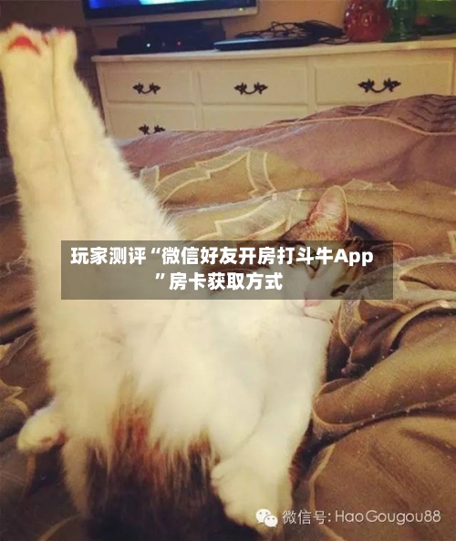 玩家测评“微信好友开房打斗牛App”房卡获取方式-第2张图片