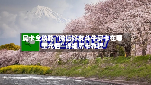 房卡全攻略“微信好友斗牛房卡在哪里充值”详细房卡教程-第3张图片