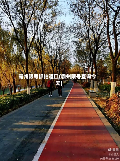 霸州限号抓拍道口(霸州限号查询今天)-第2张图片