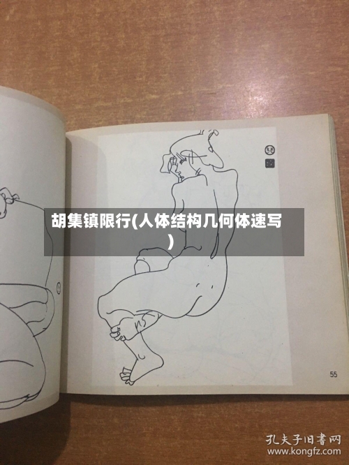 胡集镇限行(人体结构几何体速写)-第3张图片