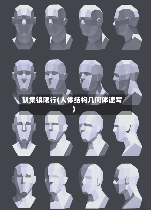 胡集镇限行(人体结构几何体速写)