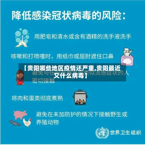 【贵阳哪些地区疫情还严重,贵阳最近 又什么病毒】-第2张图片