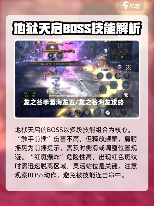 龙之谷手游海龙五/龙之谷海龙攻略-第2张图片