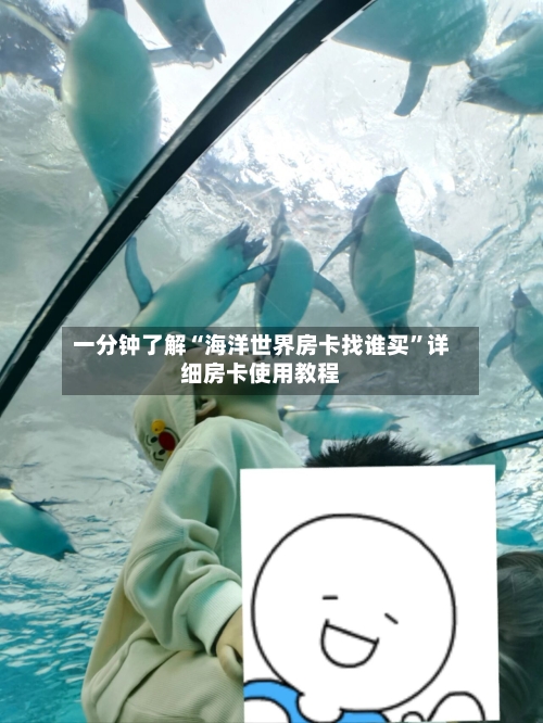 一分钟了解“海洋世界房卡找谁买”详细房卡使用教程
