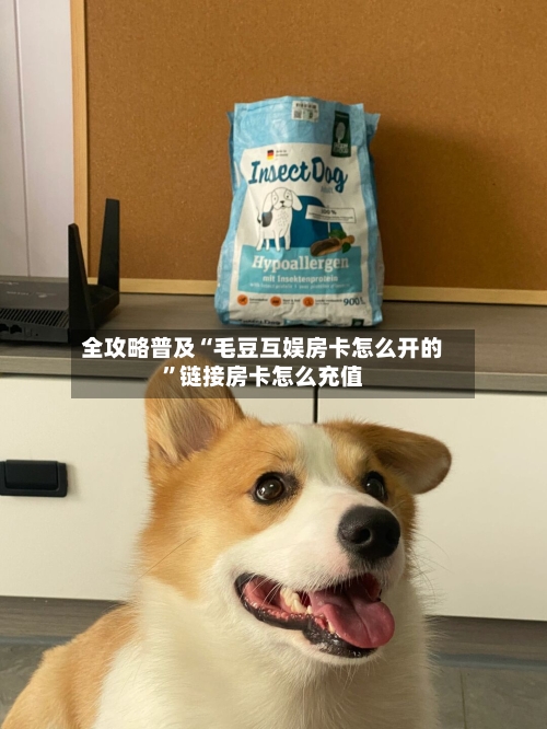 全攻略普及“毛豆互娱房卡怎么开的”链接房卡怎么充值