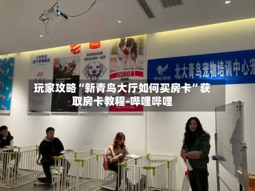 玩家攻略“新青鸟大厅如何买房卡”获取房卡教程-哔哩哔哩-第3张图片