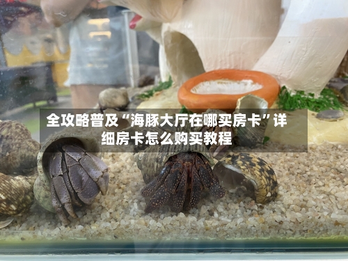 全攻略普及“海豚大厅在哪买房卡	”详细房卡怎么购买教程-第2张图片