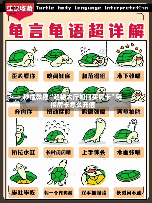 秒懂教程“超稳大厅如何买房卡”链接房卡怎么充值-第2张图片