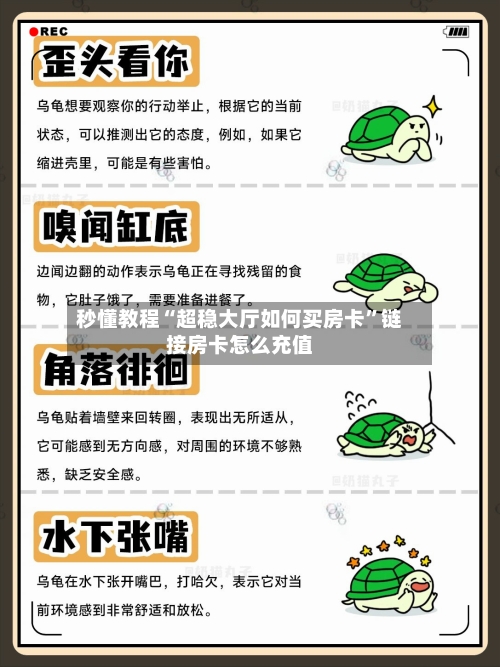 秒懂教程“超稳大厅如何买房卡”链接房卡怎么充值-第3张图片