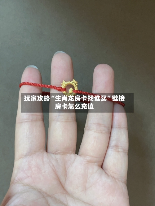 玩家攻略“生肖龙房卡找谁买	”链接房卡怎么充值-第3张图片