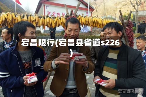 宕昌限行(宕昌县省道s226)
