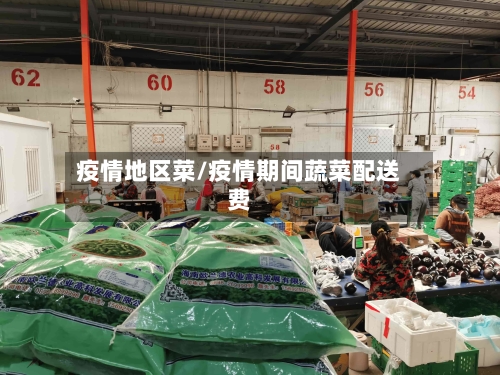 疫情地区菜/疫情期间蔬菜配送费