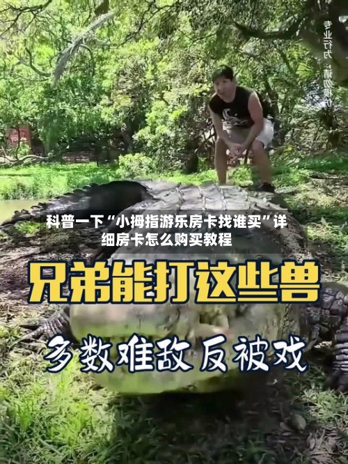 科普一下“小拇指游乐房卡找谁买	”详细房卡怎么购买教程-第2张图片