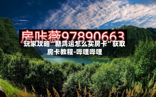 玩家攻略“新鸿运怎么买房卡”获取房卡教程-哔哩哔哩-第2张图片
