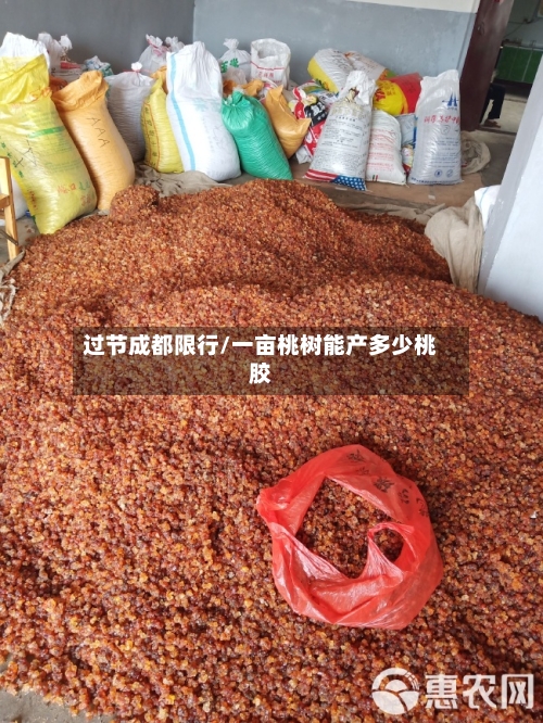 过节成都限行/一亩桃树能产多少桃胶