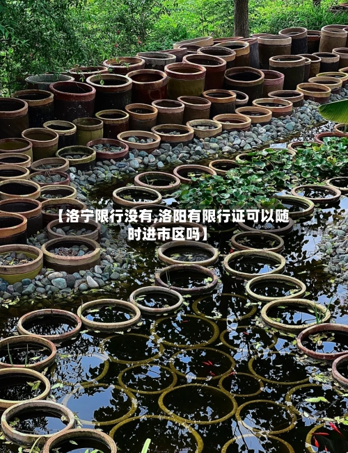 【洛宁限行没有,洛阳有限行证可以随时进市区吗】