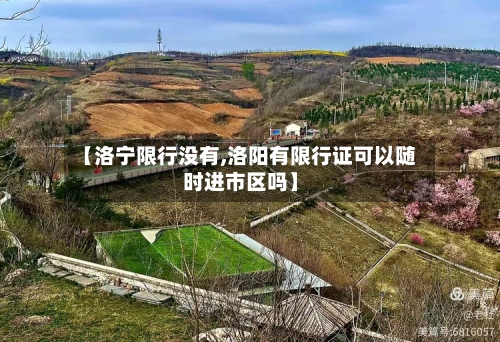 【洛宁限行没有,洛阳有限行证可以随时进市区吗】-第2张图片