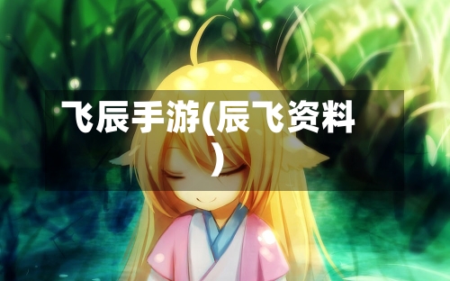 飞辰手游(辰飞资料)-第2张图片