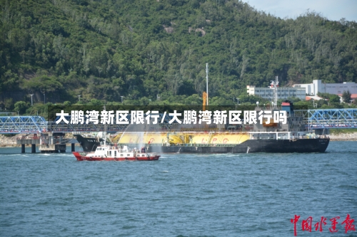 大鹏湾新区限行/大鹏湾新区限行吗