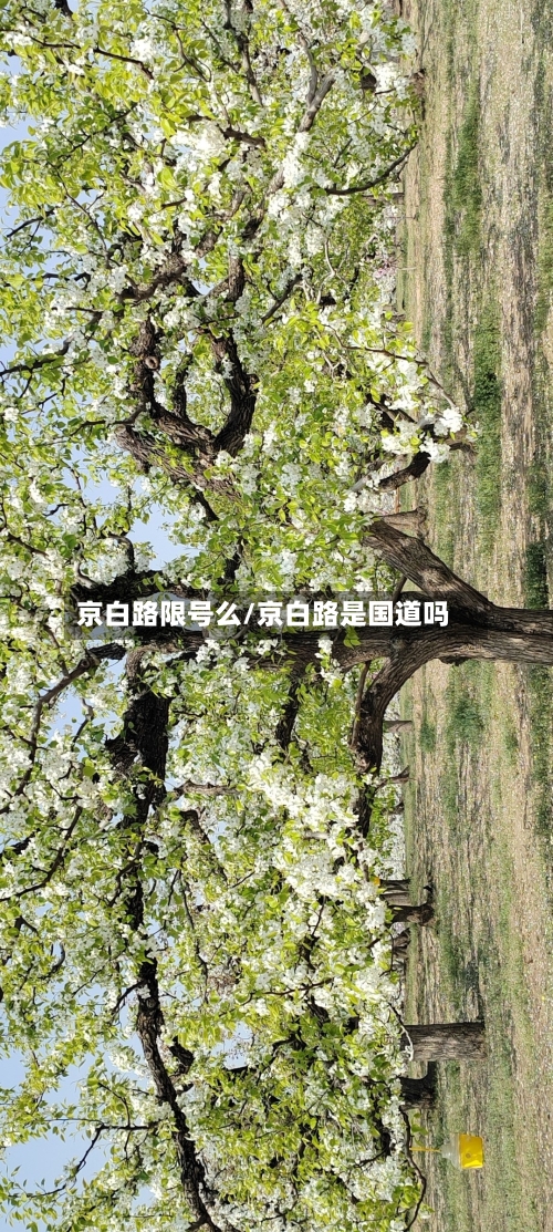 京白路限号么/京白路是国道吗-第3张图片