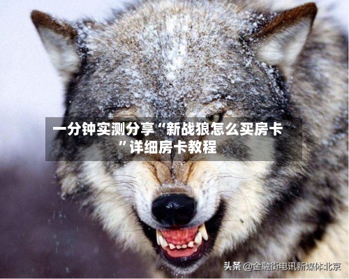 一分钟实测分享“新战狼怎么买房卡	”详细房卡教程-第3张图片
